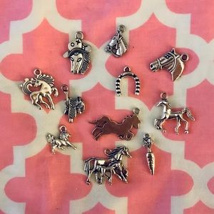 🎁3/$10 WESTERN THEMED CHARM BUNDLE